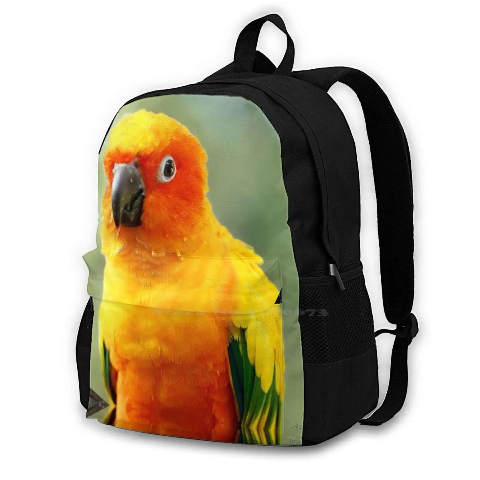 Sun Conure School Bags Travel Laptop Backpack Damienne Bingham Damienne Bingham Greeneyedharpy Green Eyed Harpy Photographs
Sun Conure School Bags Travel Laptop Backpack Damienne Bingham Damienne Bingham Greeneyedharpy Green Eyed Harpy Photographs