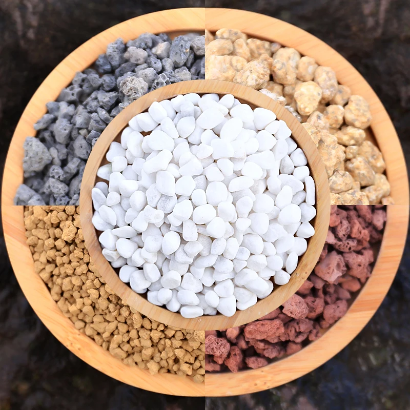 500 г суккулентная посадка почвы, питательный мощение, вулканическая зола, почва, медицинский камень, вулканический камень Maifanstone
500 г суккулентная посадка почвы, питательный мощение, вулканическая зола, почва, медицинский камень, вулканический камень Maifanstone