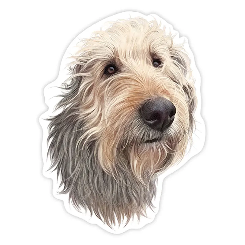 PVC-0161# Various Sizes Self-adhesive Decal Griffon Vandeano Basset Dog Car Sticker Waterproof Auto Decors on Bumper Rear Window
PVC-0161# Various Sizes Self-adhesive Decal Griffon Vandeano Basset Dog Car Sticker Waterproof Auto Decors on Bumper Rear Window