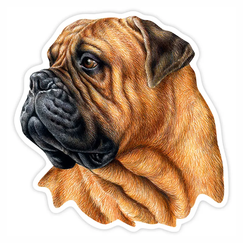 PVC-0131# Various Sizes Self-Adhesive Decal Bullmastiff Dog Car Sticker Waterproof Auto Decors on Bumper Rear Window
PVC-0131# Various Sizes Self-Adhesive Decal Bullmastiff Dog Car Sticker Waterproof Auto Decors on Bumper Rear Window