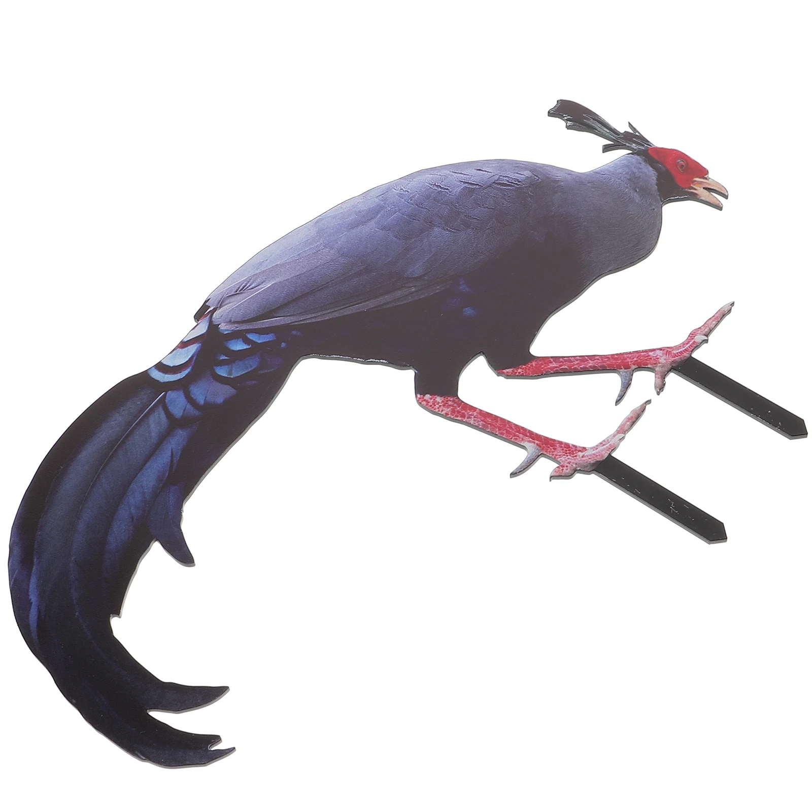 Pheasant Garden Decoration Chicken Yard Sign Lawn nament Adornment Stake Decorative Mirror Insert Modern Style Outdoor Display
Pheasant Garden Decoration Chicken Yard Sign Lawn nament Adornment Stake Decorative Mirror Insert Modern Style Outdoor Display