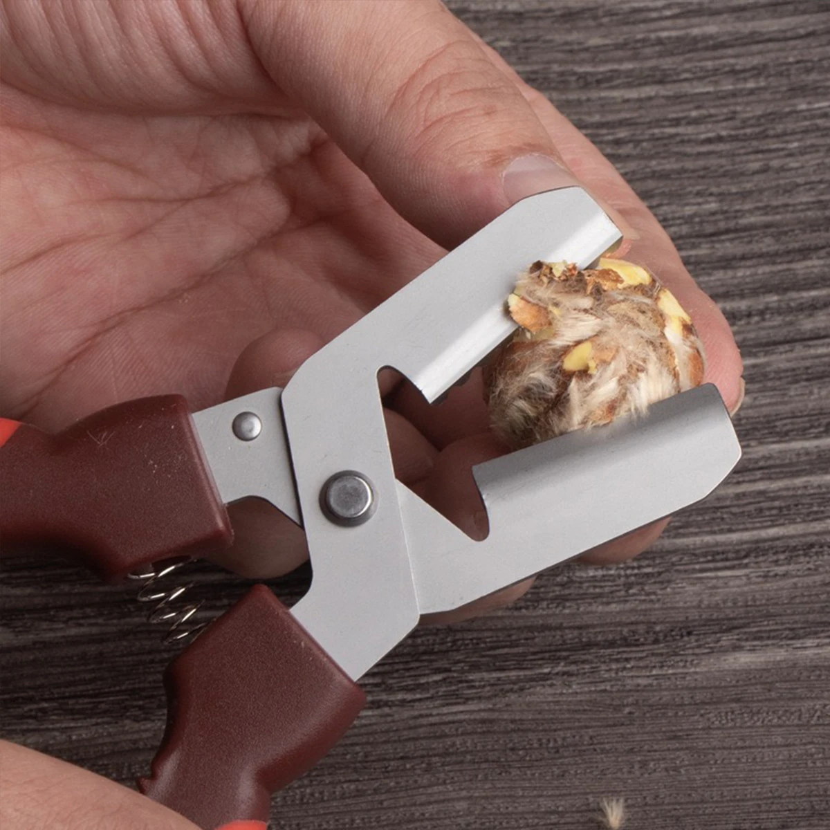 Multi-Nut Shell Opener | Quick-Load Stainless Steel Pliers for Walnuts/Chestnuts/Pecans, Commercial-Grade Durability
Multi-Nut Shell Opener | Quick-Load Stainless Steel Pliers for Walnuts/Chestnuts/Pecans, Commercial-Grade Durability