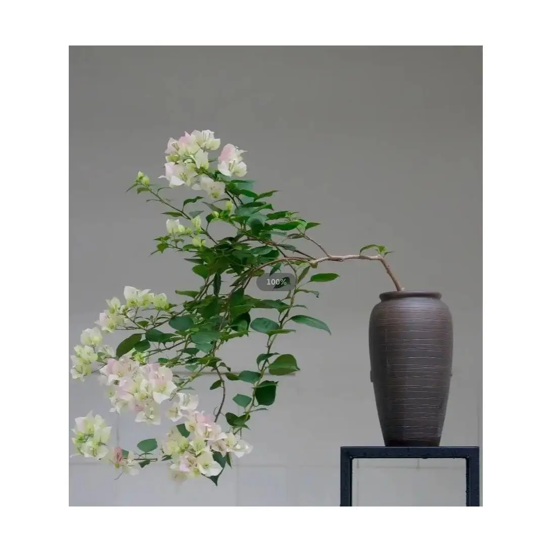 Special Cerc Flower Pot for e Plum Blossom Porous Vintage Thi Porch Pot with Holes Suitable for e Plum Tre...
Special Cerc Flower Pot for e Plum Blossom Porous Vintage Thi Porch Pot with Holes Suitable for e Plum Tre...
