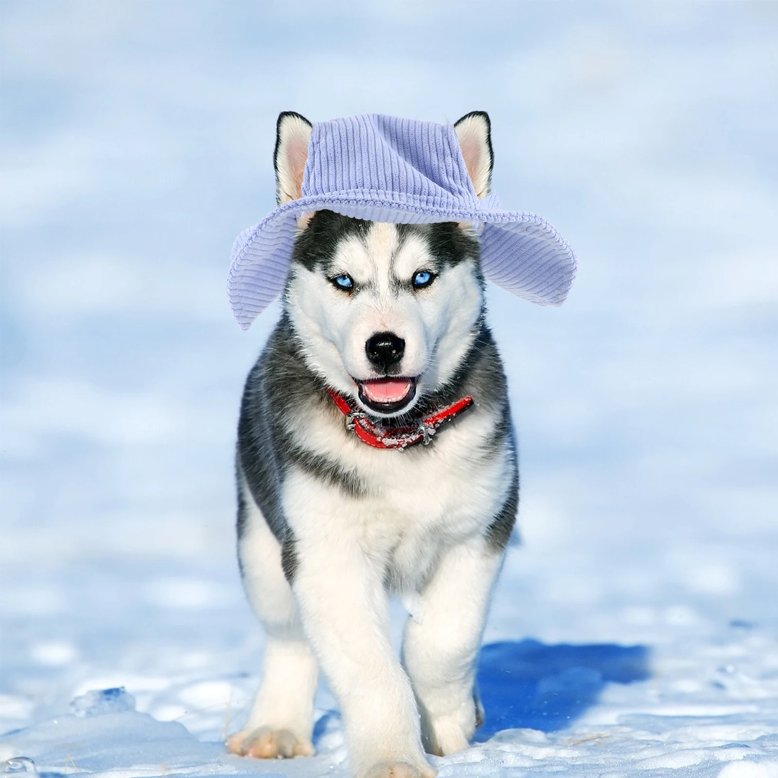 Pet Sun Hat with Ear Holes Adjustable Dog Cat Fisherman Hat Puppy Summer Sun Protection Cap Outdoor Climbing Hiking
Pet Sun Hat with Ear Holes Adjustable Dog Cat Fisherman Hat Puppy Summer Sun Protection Cap Outdoor Climbing Hiking