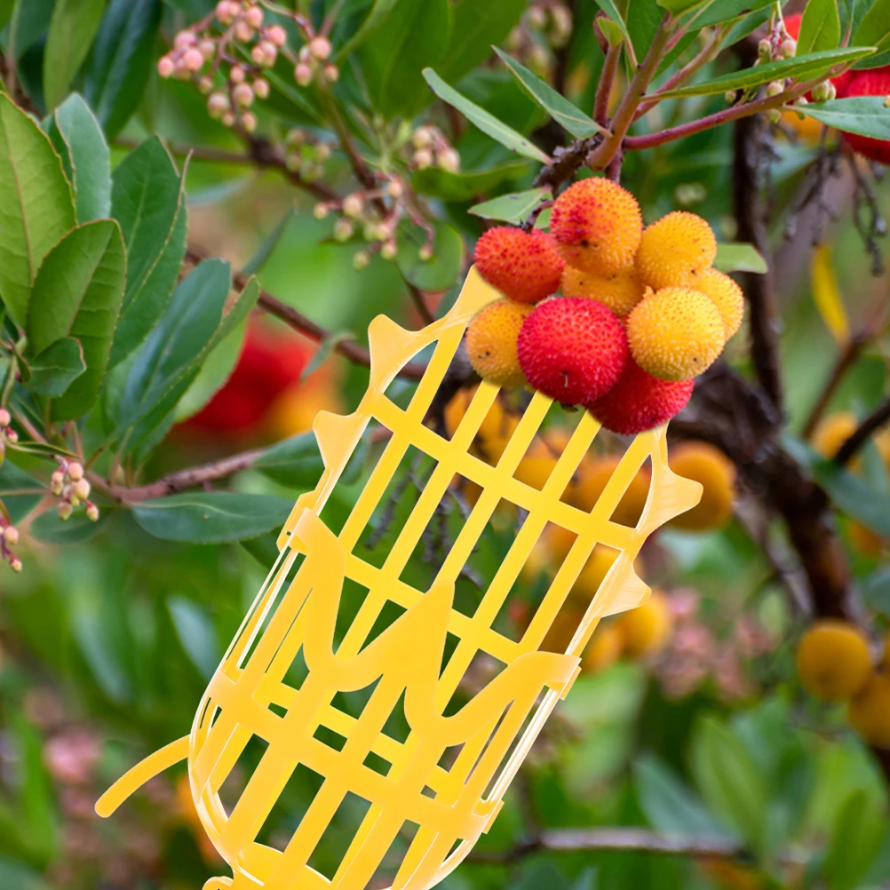 Fruit Picker Lightweight Picking Fruits on The Tree Nut Device Apple Aerial Ladder-free Secure
Fruit Picker Lightweight Picking Fruits on The Tree Nut Device Apple Aerial Ladder-free Secure