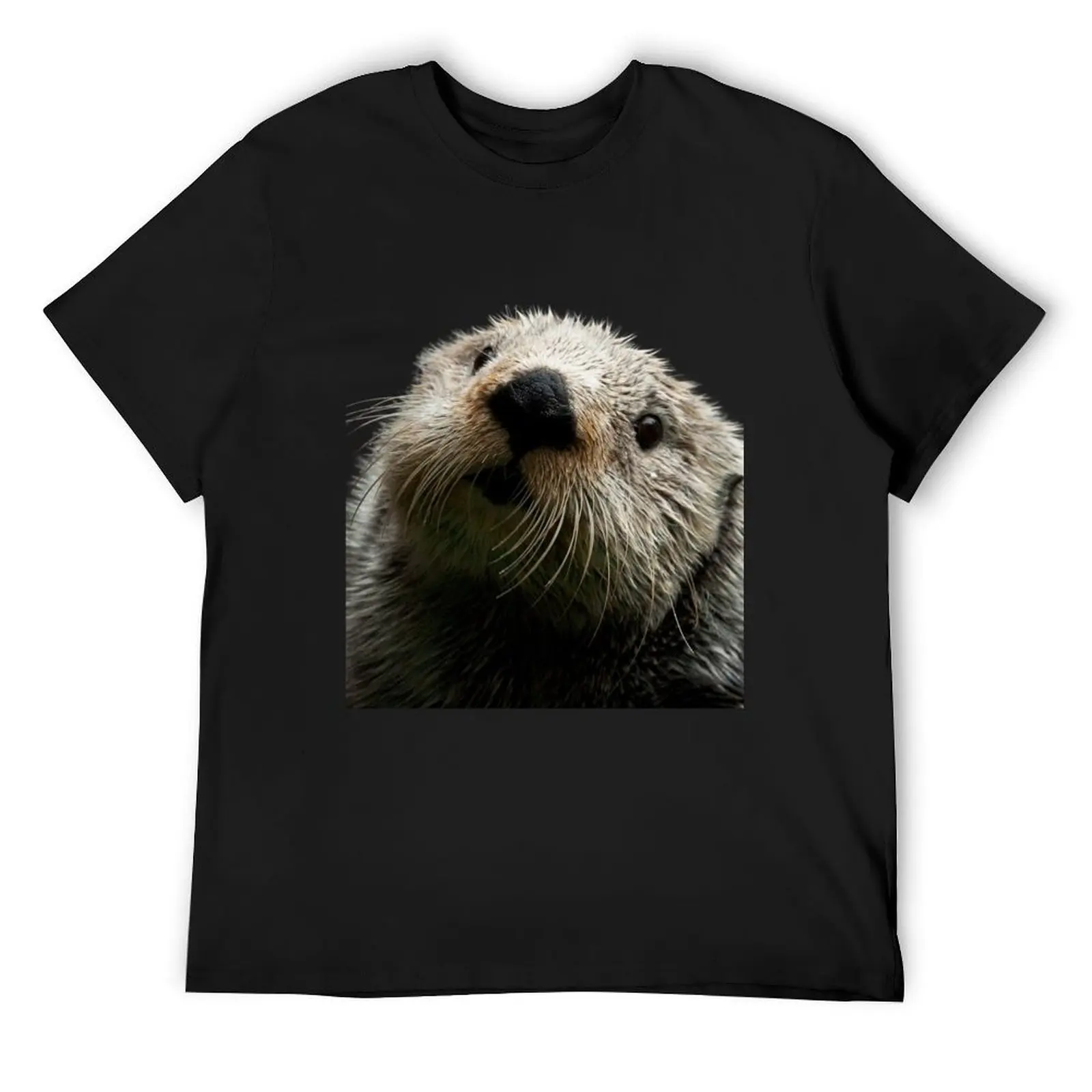 Cute Otter T-Shirt Aesthetic clothing blacks funny costumes street wear t shirts men
Cute Otter T-Shirt Aesthetic clothing blacks funny costumes street wear t shirts men