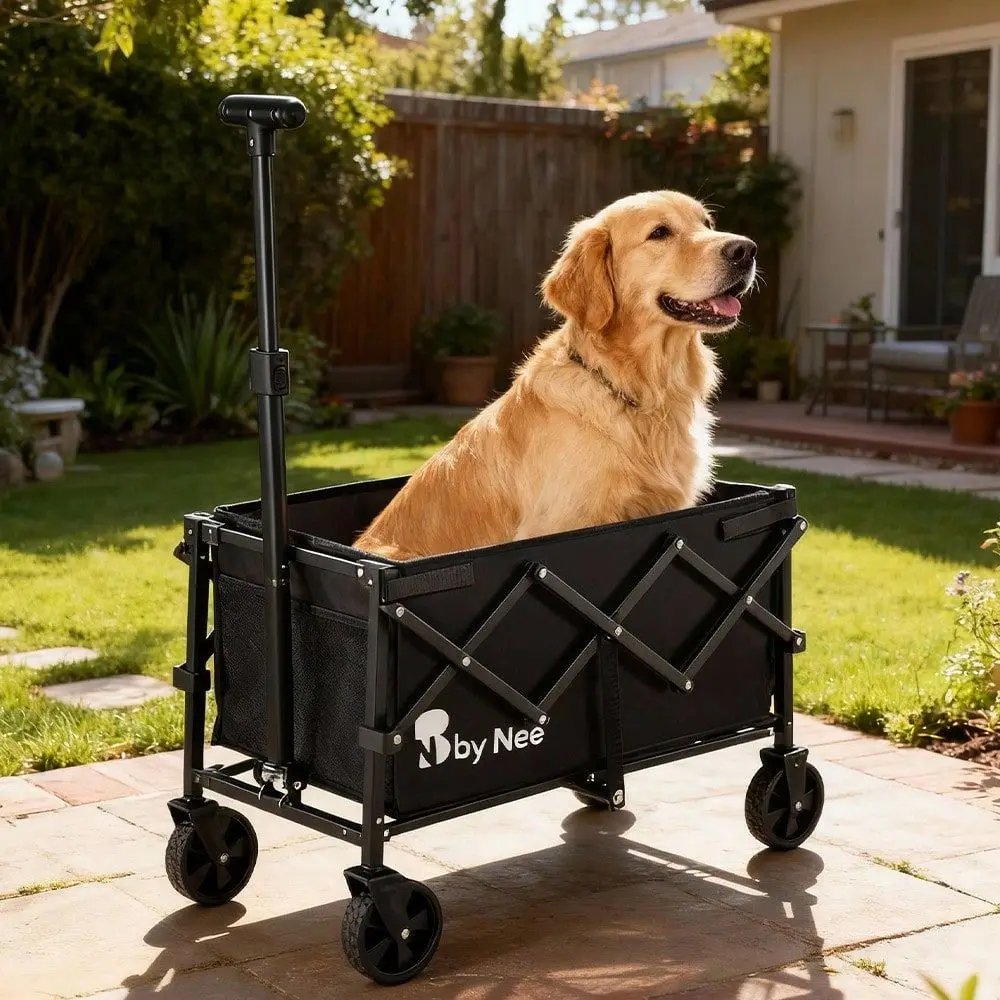 Outdoor Trolley With A High Load Capacity, Ideal For Camping, Picnics, And Shopping Trips. It Features AllTerrain Wheels And Is
Outdoor Trolley With A High Load Capacity, Ideal For Camping, Picnics, And Shopping Trips. It Features AllTerrain Wheels And Is