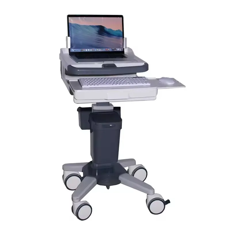ABS Computerized Medical Workstation Cart Trolley
ABS Computerized Medical Workstation Cart Trolley