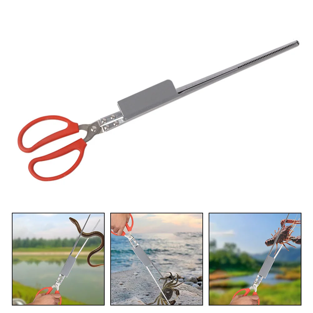 Premium Stainless Steel Loach Tong Multi-Functional Crab Clamp for Outdoor Fishing Camping Bbq Kitchen Gadgets Non-Slip Grip
Premium Stainless Steel Loach Tong Multi-Functional Crab Clamp for Outdoor Fishing Camping Bbq Kitchen Gadgets Non-Slip Grip