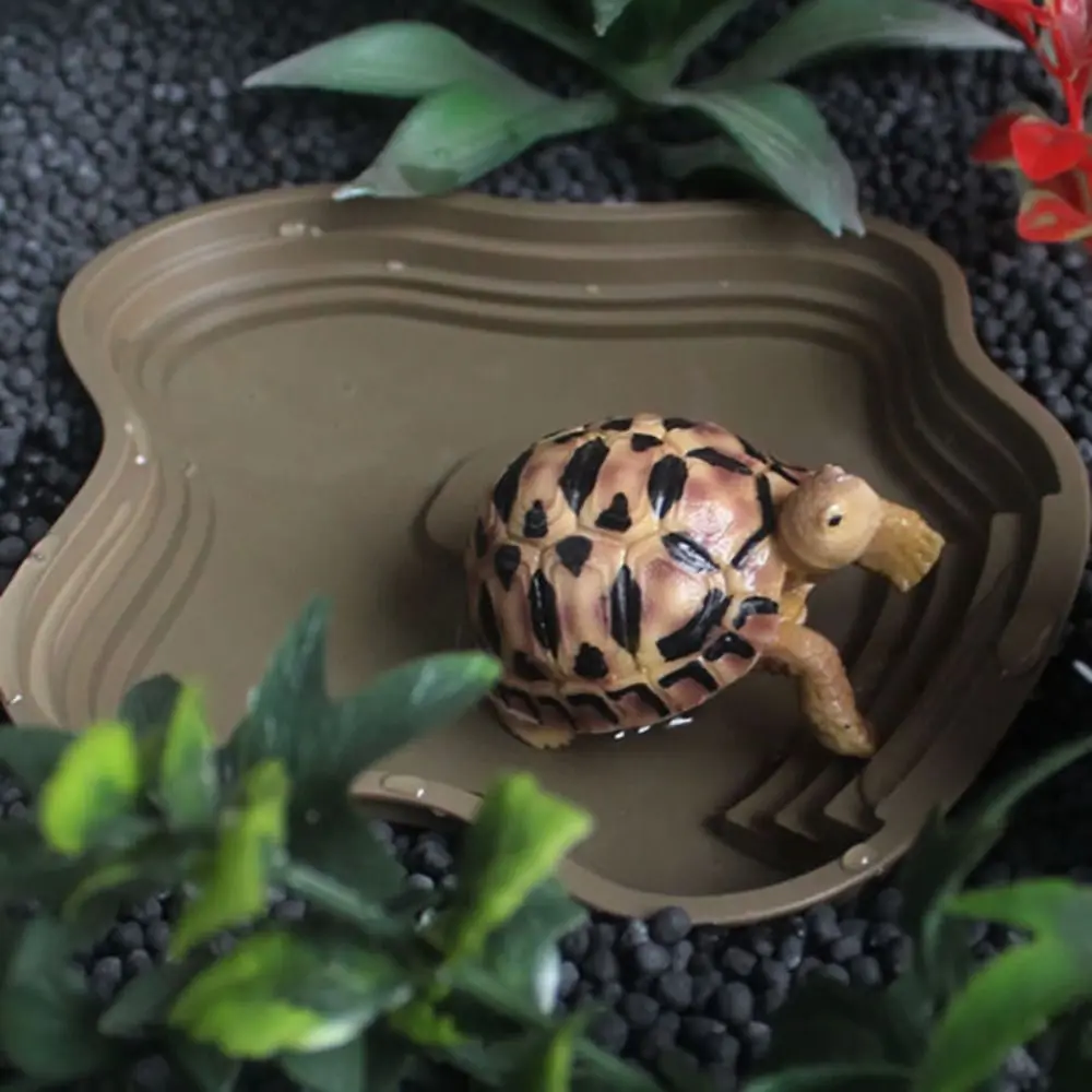 Stair Design Turtle Bathing Basin Plastic Thickened Reptiles Water Basin Anti-Slip Professional Amphibian Water Bowl Lizard
Stair Design Turtle Bathing Basin Plastic Thickened Reptiles Water Basin Anti-Slip Professional Amphibian Water Bowl Lizard