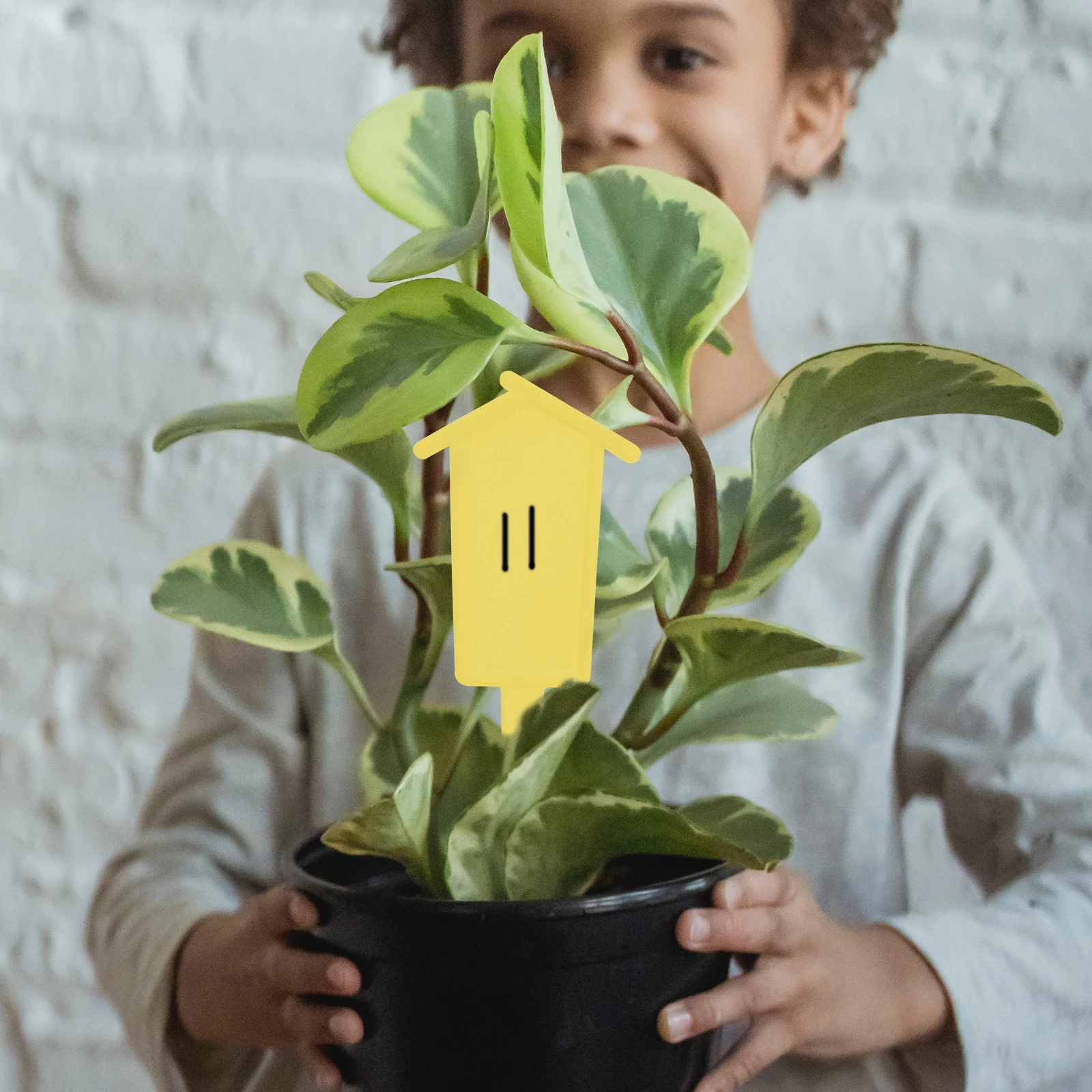 60 Pcs Plant Labels Gardening Signs Flower Vegetable Marker Decor Blank Thickened Durable Stylish Easy Storage Simple Operation
60 Pcs Plant Labels Gardening Signs Flower Vegetable Marker Decor Blank Thickened Durable Stylish Easy Storage Simple Operation