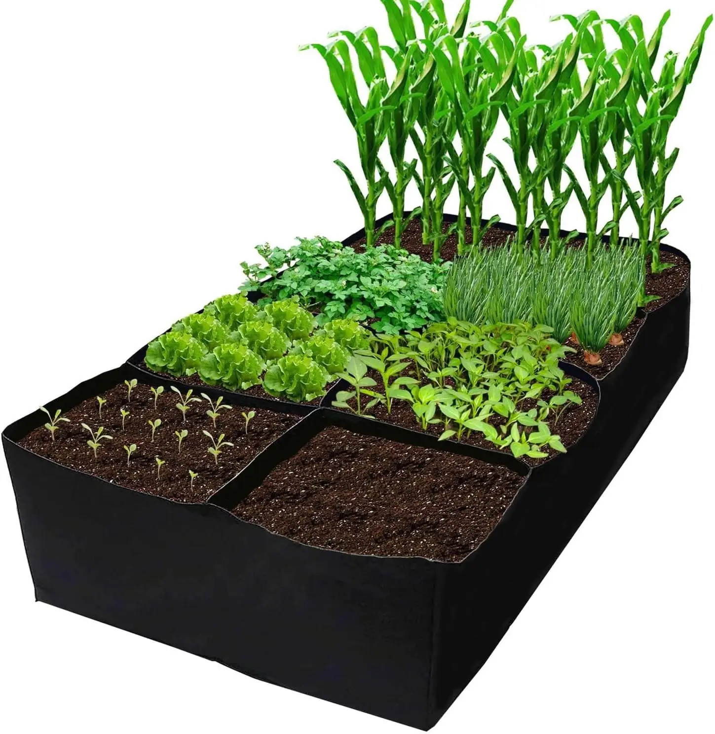 Fabric Garden Bed, 3 x 6 Feet, 8 Grid Planter Box, 128 Gallon Raised Bed for Vegetables and Flowers
Fabric Garden Bed, 3 x 6 Feet, 8 Grid Planter Box, 128 Gallon Raised Bed for Vegetables and Flowers