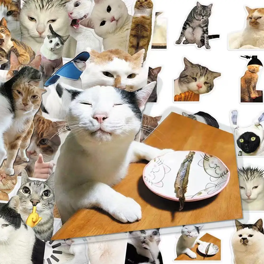 50Pcs Funny Cat Stickers, Animal Cartoon Graffiti Decal for DIY Scrapbooking Suitcase Phone Laptop Guitar Car Kids
50Pcs Funny Cat Stickers, Animal Cartoon Graffiti Decal for DIY Scrapbooking Suitcase Phone Laptop Guitar Car Kids