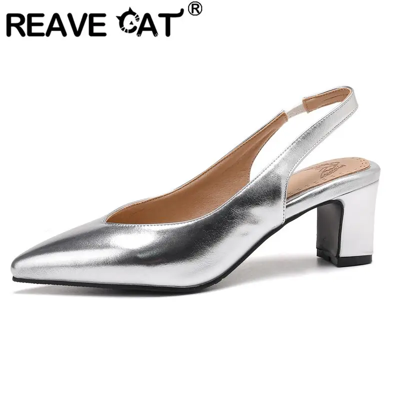 REAVE CAT 2025 Блестящие сексуальные женские сандалии с острым носком на блочном каблуке 6 см с ремешком сзади без шнуровки плюс размер 46 47 48 Модная обувь для свиданий
REAVE CAT 2025 Блестящие сексуальные женские сандалии с острым носком на блочном каблуке 6 см с ремешком сзади без шнуровки плюс размер 46 47 48 Модная обувь для свиданий