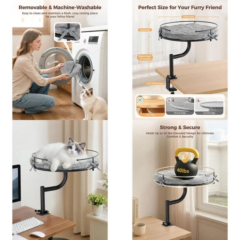 360 ° Поворотная и регулируемая по высоте настольная кровать для кошек, вмещает 40 фунтов, моющийся плюшевый чехол
360 ° Поворотная и регулируемая по высоте настольная кровать для кошек, вмещает 40 фунтов, моющийся плюшевый чехол