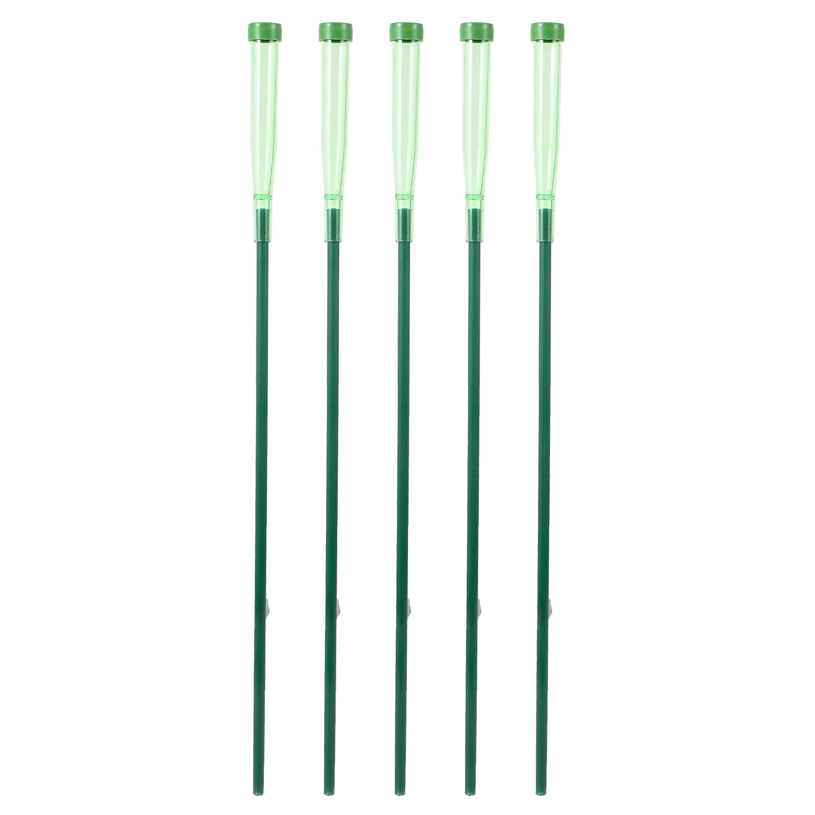 5 set 5 Sets Flower Water Tubes For Fresh Flowers Plastic Individual Nutrition Storage Pipes With Extension Design
5 set 5 Sets Flower Water Tubes For Fresh Flowers Plastic Individual Nutrition Storage Pipes With Extension Design