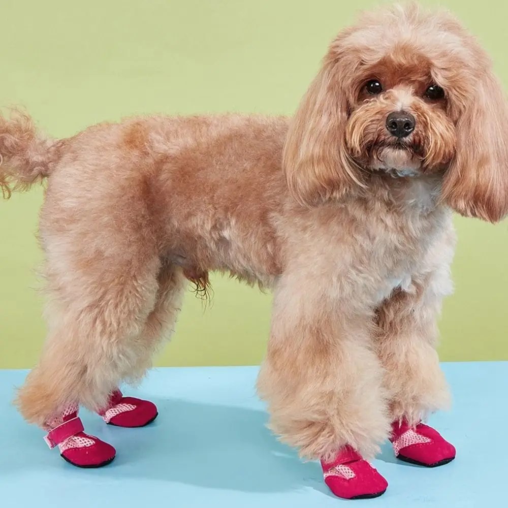 4pcs/set Comfortable Pet Rain Boots Anti-slip Protective Pet Dog Shoes Breathable Easy To Clean Dog Care Footmuffs Indoor
4pcs/set Comfortable Pet Rain Boots Anti-slip Protective Pet Dog Shoes Breathable Easy To Clean Dog Care Footmuffs Indoor