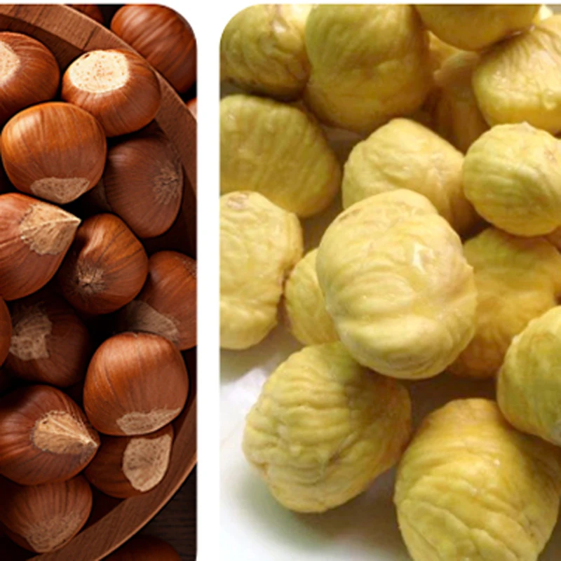 Commercial Chestnut Sheller Electric Highly Efficient Chestnut Cutting Machine Hot Selling Chestnut Opener Cutting Machine 220V
Commercial Chestnut Sheller Electric Highly Efficient Chestnut Cutting Machine Hot Selling Chestnut Opener Cutting Machine 220V