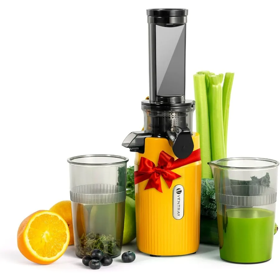 Ginnie Mini Cold Press Juicer, Small Slow Masticating Juicer for Vegetables and Fruits, High Juice Yield, Easy to Clean, Space-S
Ginnie Mini Cold Press Juicer, Small Slow Masticating Juicer for Vegetables and Fruits, High Juice Yield, Easy to Clean, Space-S