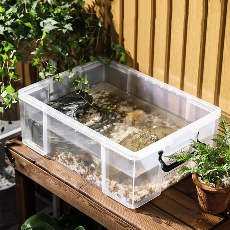 Террариумы для черепах, бытовой коробка для разведения черепах, пластиковый резервуар для ландшафтного дизайна, прозрачные коробки для аквариума, рептилий, транспортные коробки
Террариумы для черепах, бытовой коробка для разведения черепах, пластиковый резервуар для ландшафтного дизайна, прозрачные коробки для аквариума, рептилий, транспортные коробки