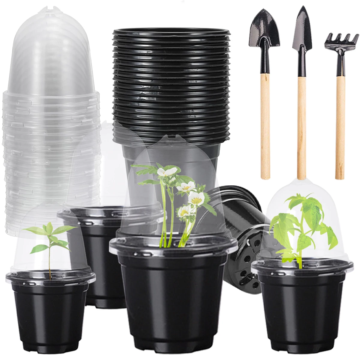 10pcs Plant Grow Pots for Seedlings Germination Transparent Flower Pot Seedling Plastic Planters Cute Gardening Garden Seeds
10pcs Plant Grow Pots for Seedlings Germination Transparent Flower Pot Seedling Plastic Planters Cute Gardening Garden Seeds