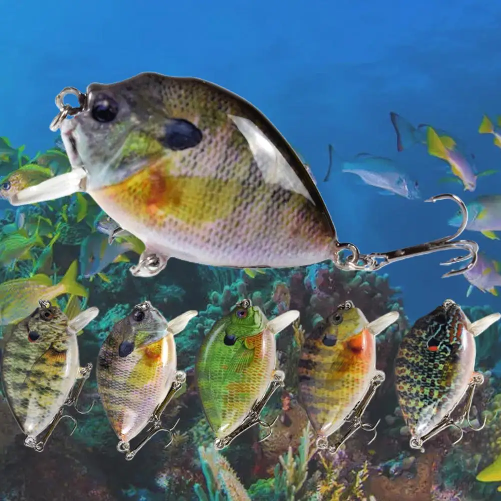 Dropshipping!6cm 14.5g Artificial Bait Simulation Realistic Shape Reusable Sea Fishing Fake Lure Bait Angling Tackle
Dropshipping!6cm 14.5g Artificial Bait Simulation Realistic Shape Reusable Sea Fishing Fake Lure Bait Angling Tackle