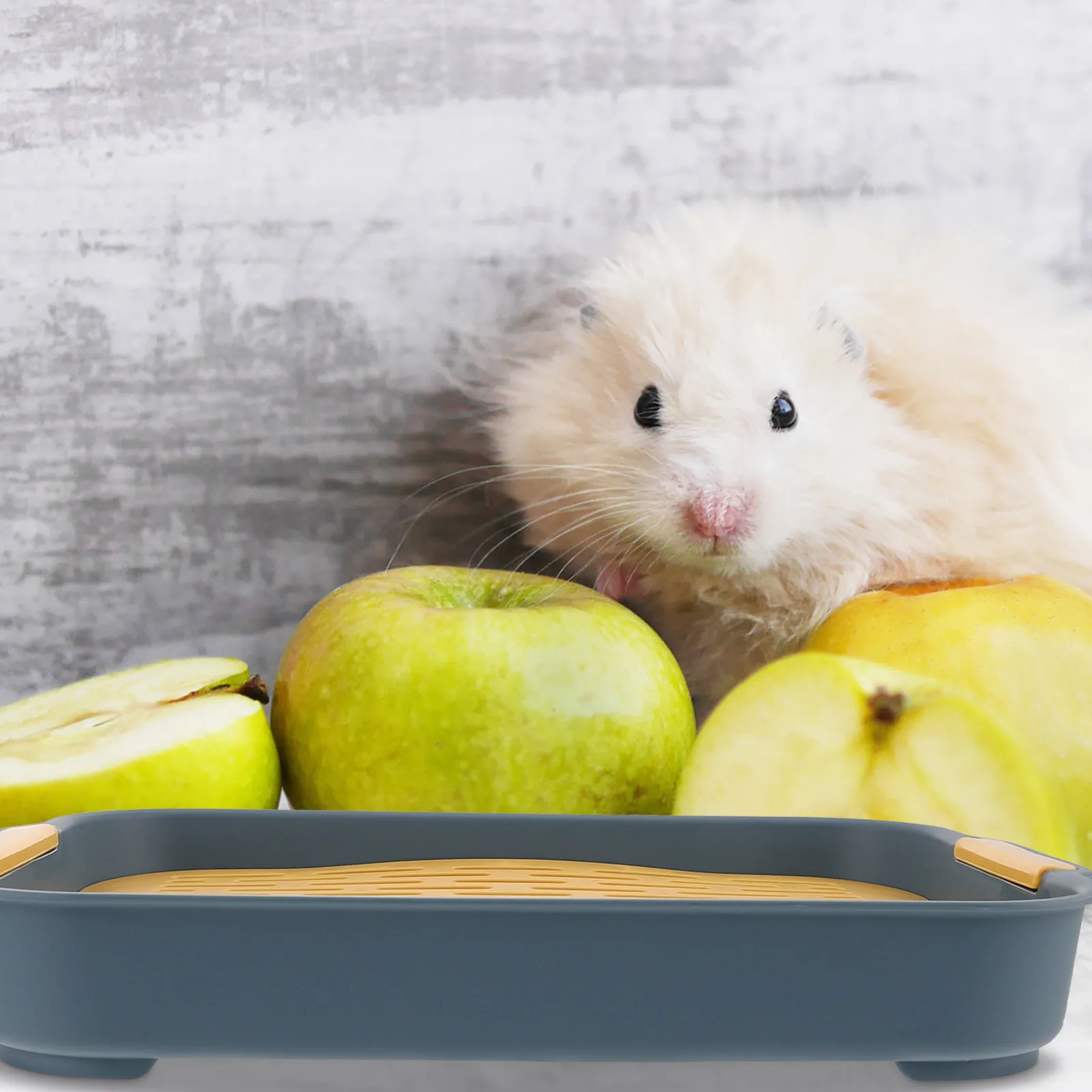 Extra Large Rabbit Litter Box Rectangular Hamster Toilet Cage Training Potty Thick Bottom Bunny Clean Pet Supplies
Extra Large Rabbit Litter Box Rectangular Hamster Toilet Cage Training Potty Thick Bottom Bunny Clean Pet Supplies