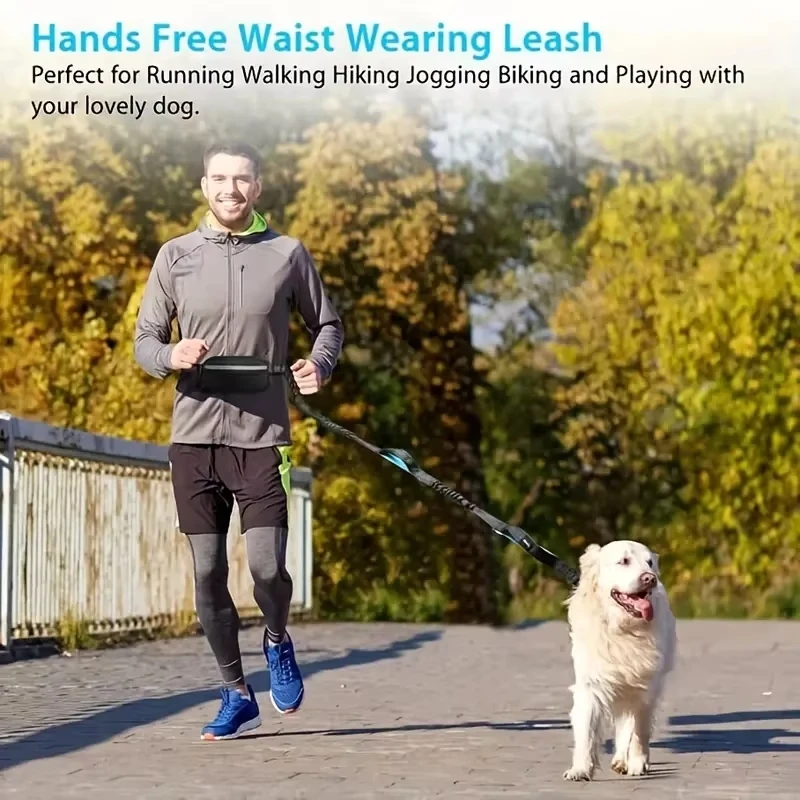 Dog Running Waist Leash Nylon Pet Leash with Waist Bag Retractable Elastic Belt Dog Traction Rope Reflective Belt Buckle
Dog Running Waist Leash Nylon Pet Leash with Waist Bag Retractable Elastic Belt Dog Traction Rope Reflective Belt Buckle
