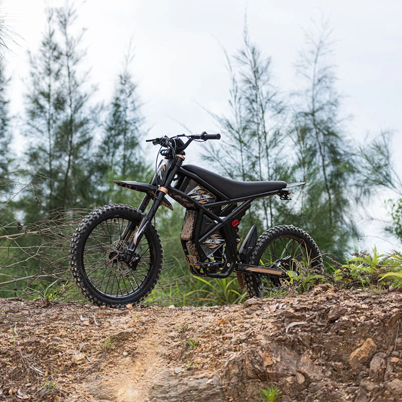 STLF Ridingtimes GT73PRO 20 Rear Wheel Electric Motocross Dirt Bike with High Motor for Off-Road Riding
STLF Ridingtimes GT73PRO 20 Rear Wheel Electric Motocross Dirt Bike with High Motor for Off-Road Riding