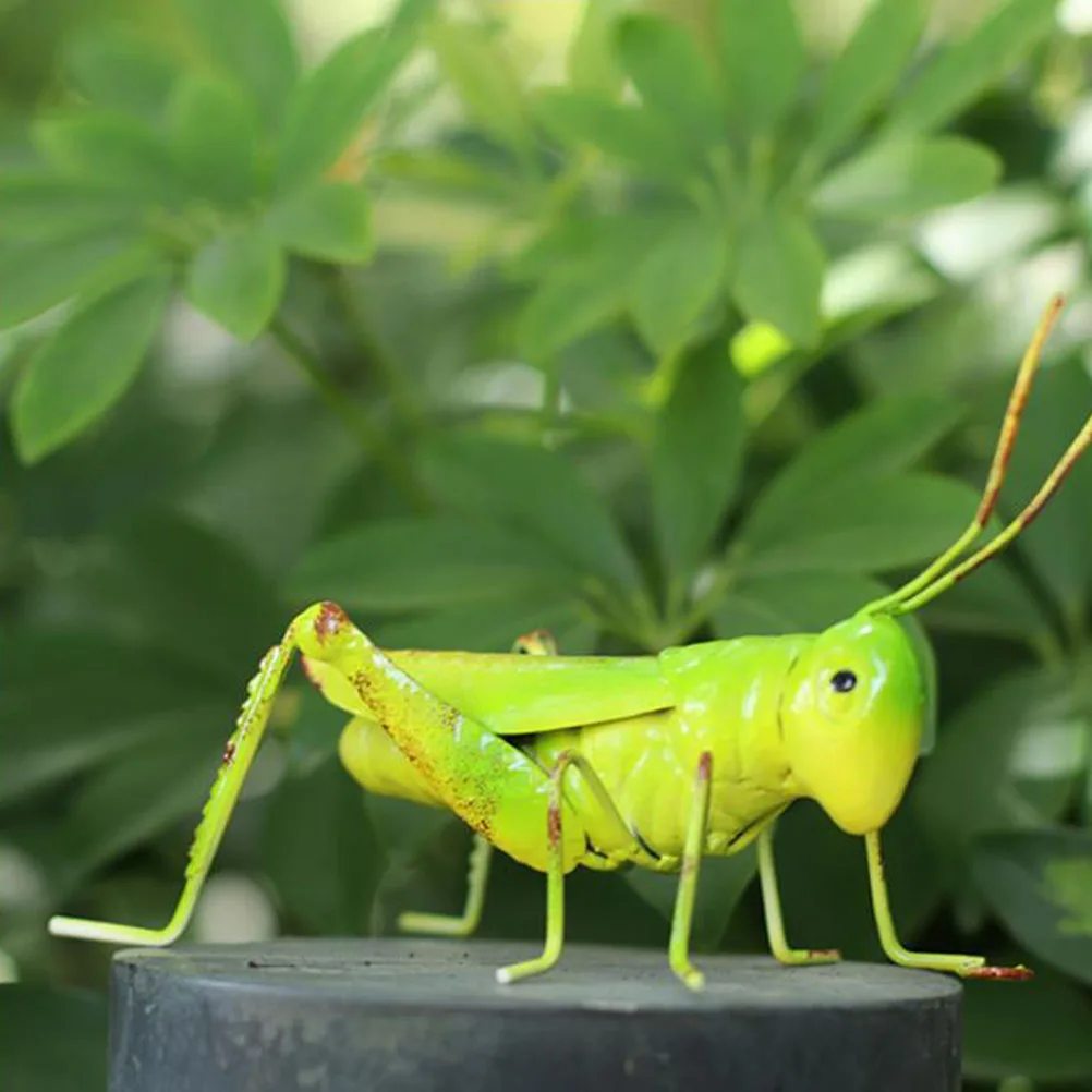 2pcs Simulation Ornaments Iron Locust Decor Garden Insect Statues Tropical Scene Decoration Outdoor for Family
2pcs Simulation Ornaments Iron Locust Decor Garden Insect Statues Tropical Scene Decoration Outdoor for Family
