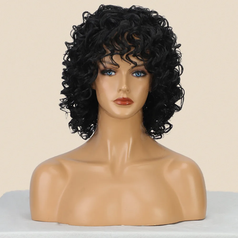 Synthetic Afro Curly Short Wig for Women Heat Resistant Full Head Wigs Voluminous Perm Natural Looking Costume Party Cosplay
Synthetic Afro Curly Short Wig for Women Heat Resistant Full Head Wigs Voluminous Perm Natural Looking Costume Party Cosplay