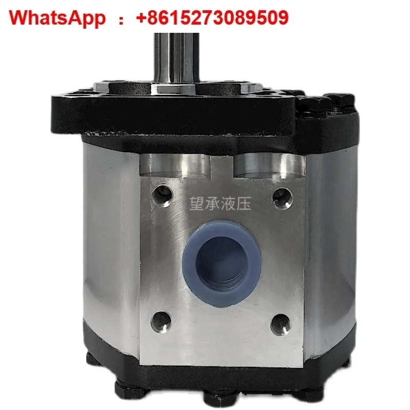 24 новых гидравлических шестеренных насоса CBN CBT-E/F325 532 550 563 580, масляный насос высокого давления с высоким расходом
24 новых гидравлических шестеренных насоса CBN CBT-E/F325 532 550 563 580, масляный насос высокого давления с высоким расходом