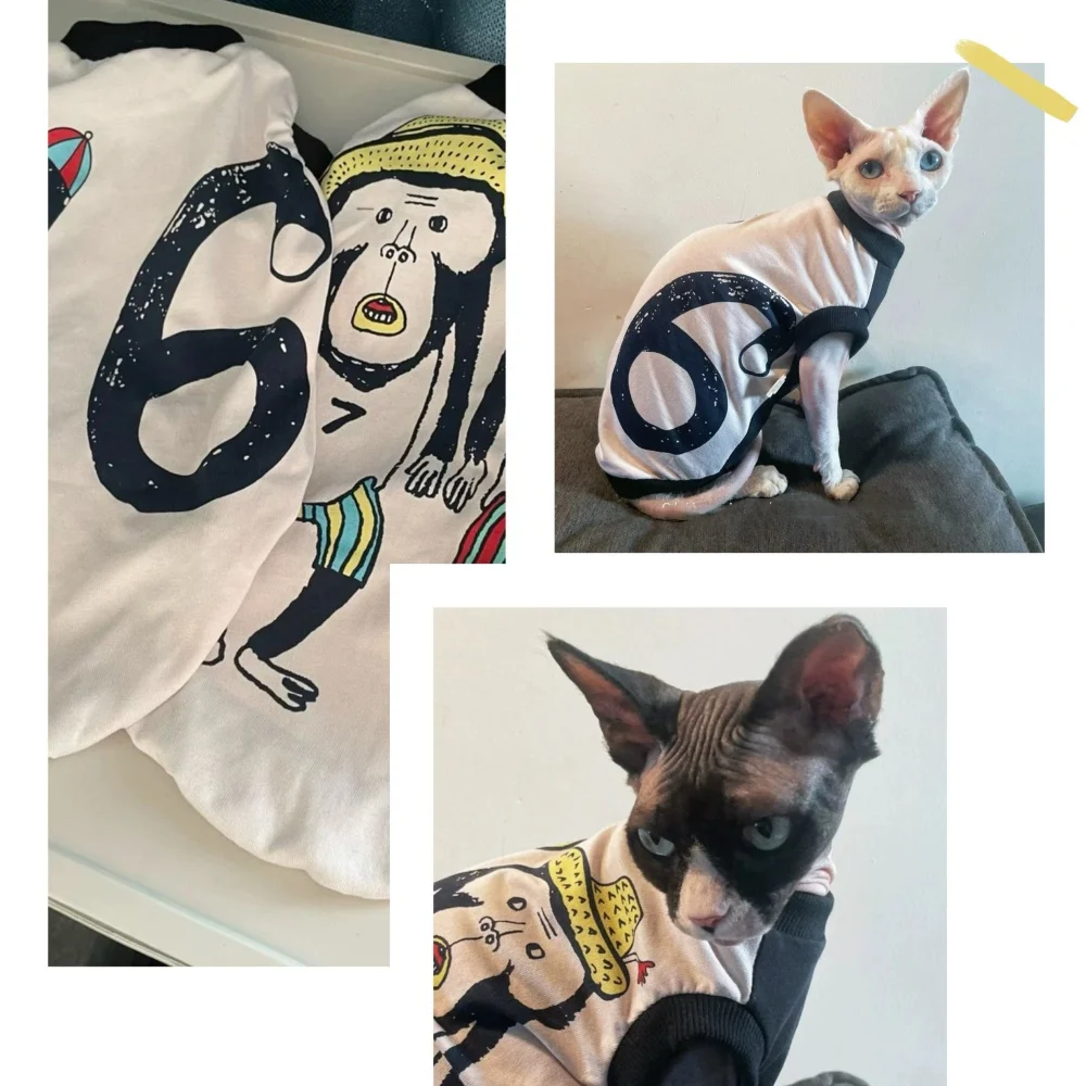 Clothing for Cats Street Punk Style T-shirt for Sphynx Cat in Spring Kittens Summer Cotton Vest Fashion Coat for Devon Curly
Clothing for Cats Street Punk Style T-shirt for Sphynx Cat in Spring Kittens Summer Cotton Vest Fashion Coat for Devon Curly