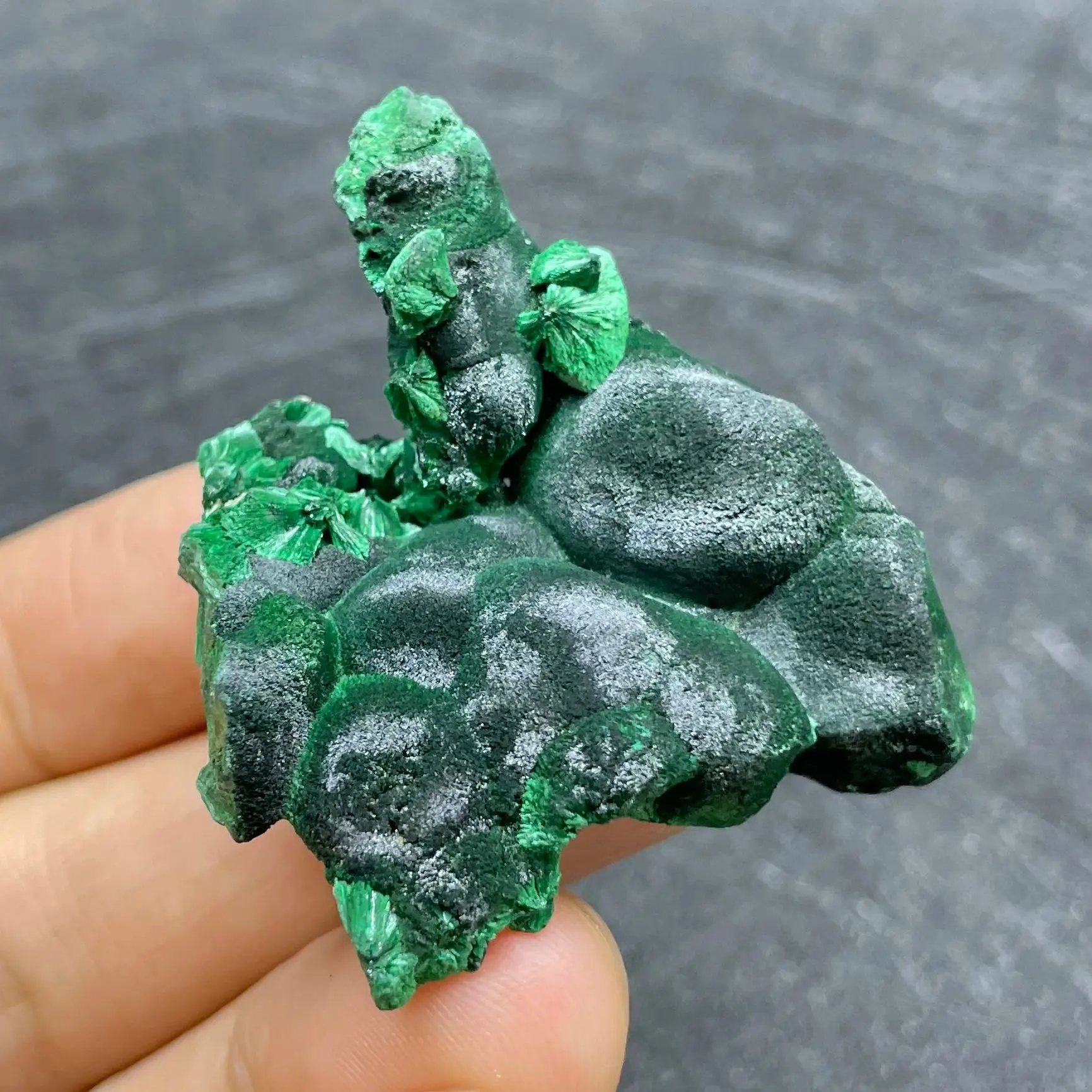 Natural Raw Stone Green Malachite Crystal Mineral Specimen needle-shaped Plus Velvet Quartz Rock Decoration Gift Healing
Natural Raw Stone Green Malachite Crystal Mineral Specimen needle-shaped Plus Velvet Quartz Rock Decoration Gift Healing