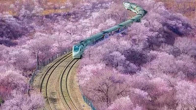 Для MJX Hyper Go 10303 10304: Металлические рулевые кронштейны, рулевой механизм, комплект поворотных рычагов, запчасти для тюнинга радиоуправляемых машин 1/10, аксессуары
Для MJX Hyper Go 10303 10304: Металлические рулевые кронштейны, рулевой механизм, комплект поворотных рычагов, запчасти для тюнинга радиоуправляемых машин 1/10, аксессуары