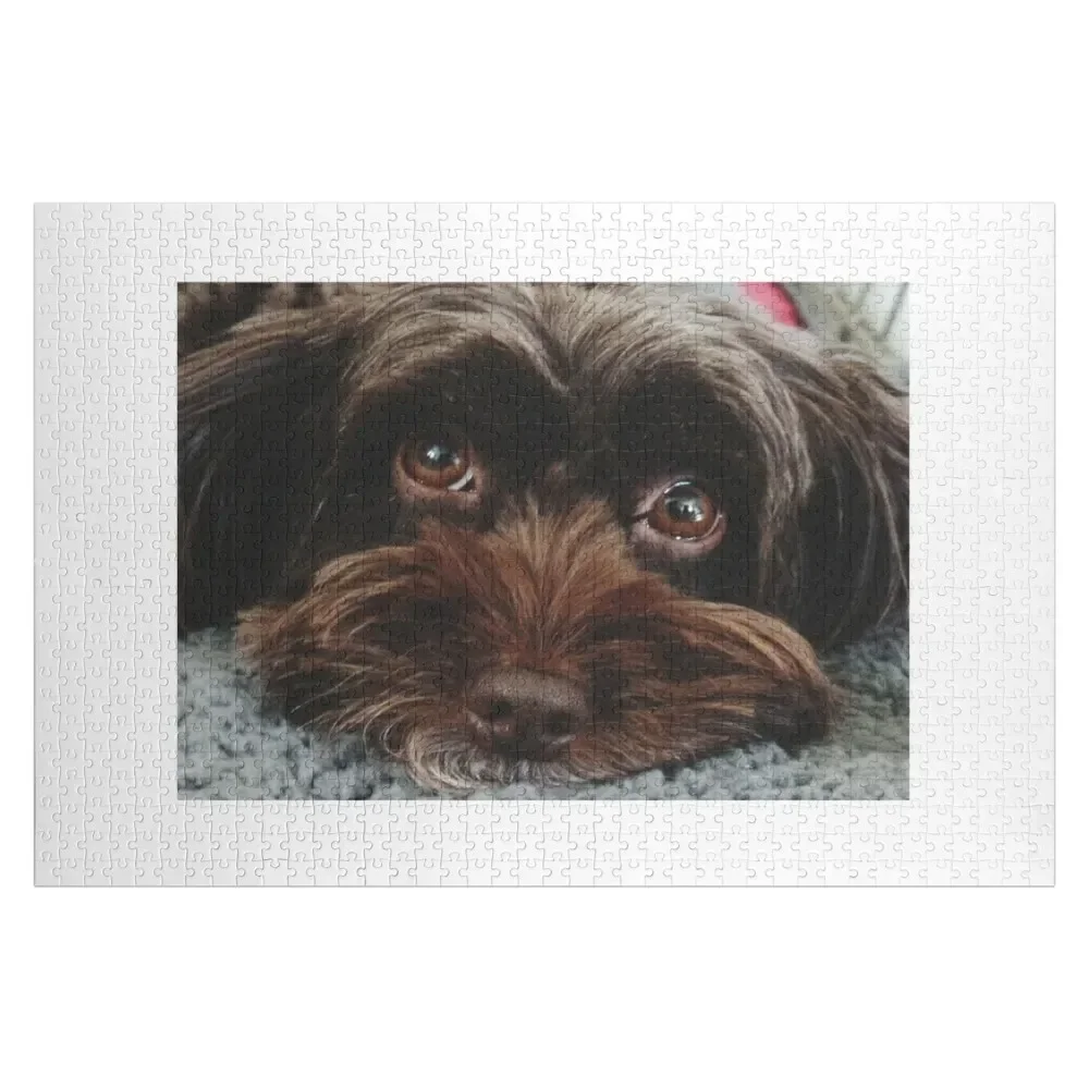 Головоломка Cockapoo изголовья, деревянные животные, персонализированная игрушка, фото, персонализированные подарки, головоломка
Головоломка Cockapoo изголовья, деревянные животные, персонализированная игрушка, фото, персонализированные подарки, головоломка