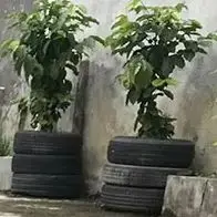 50Kg/H Fresh Cocoa Coffee Bean Peeling Machine Roasted Coffee Dehulling Machine Shellers Shelling Machine
50Kg/H Fresh Cocoa Coffee Bean Peeling Machine Roasted Coffee Dehulling Machine Shellers Shelling Machine
