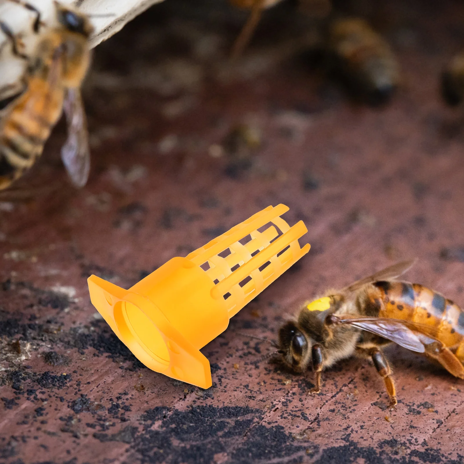 100Pcs Bee Queen Cage Protective Cover Plastic Durable Cell Protector Beekeeping Equipment Queen Cage Cell Protector
100Pcs Bee Queen Cage Protective Cover Plastic Durable Cell Protector Beekeeping Equipment Queen Cage Cell Protector