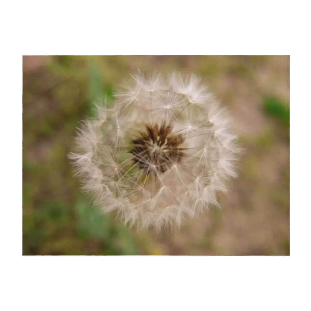 Dandelion Puffball Throw Blanket valentine gift ideas Camping Sofas Thermals For Travel Blankets
Dandelion Puffball Throw Blanket valentine gift ideas Camping Sofas Thermals For Travel Blankets