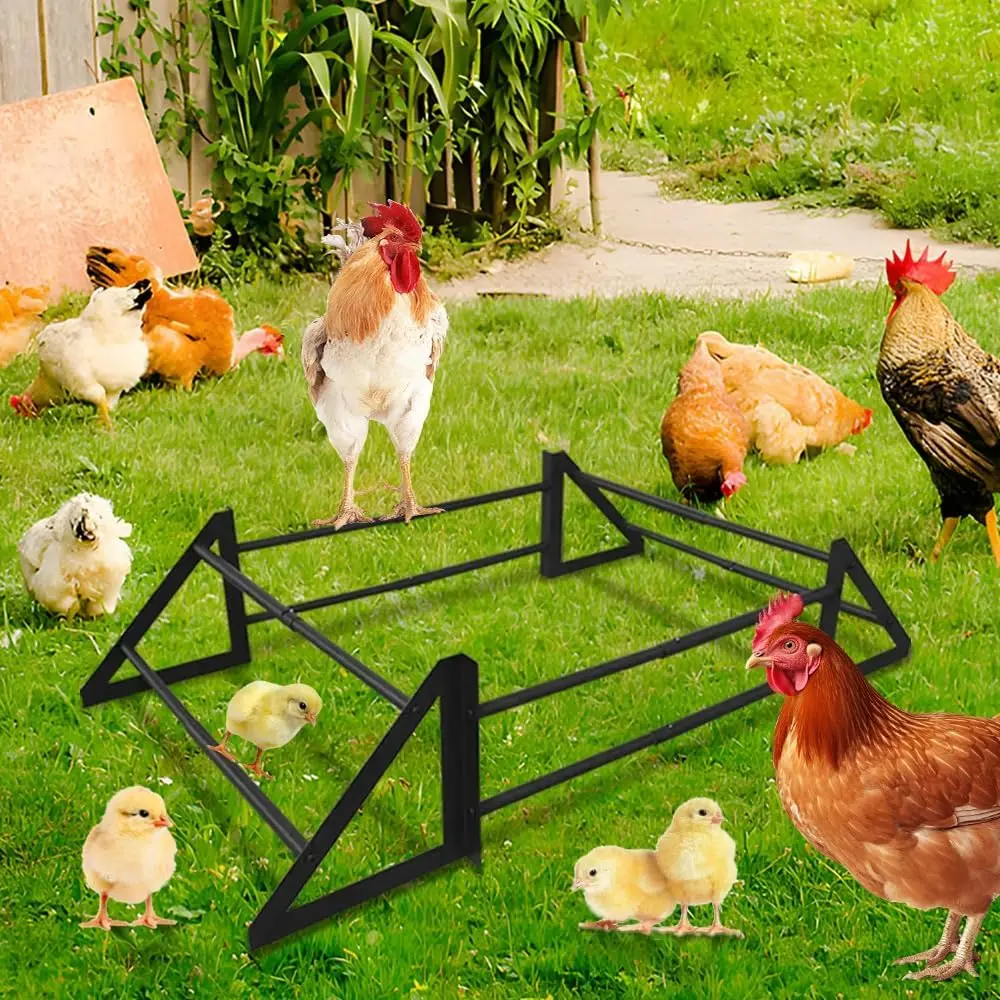 Adjustable Chicken Perch Toy for Coop - Expandable Metal Roosting Bars for Coop from 33" to 43", Durable Chicken Toys for Hens
Adjustable Chicken Perch Toy for Coop - Expandable Metal Roosting Bars for Coop from 33" to 43", Durable Chicken Toys for Hens