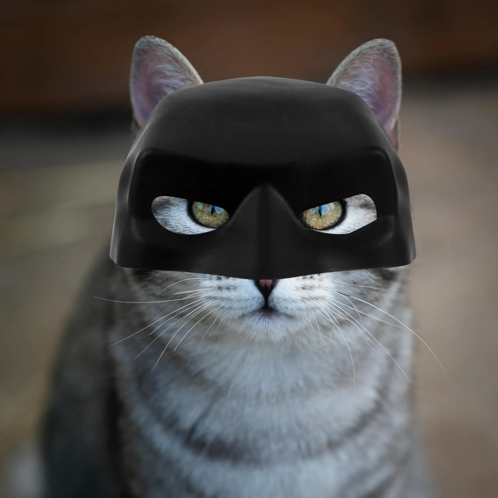 3Pcs Cat Mask Pet Costume Cute Cartoon Dress Up Supplies Holiday Festival Party Masquerade Decorative Mask Party Masks Funny
3Pcs Cat Mask Pet Costume Cute Cartoon Dress Up Supplies Holiday Festival Party Masquerade Decorative Mask Party Masks Funny