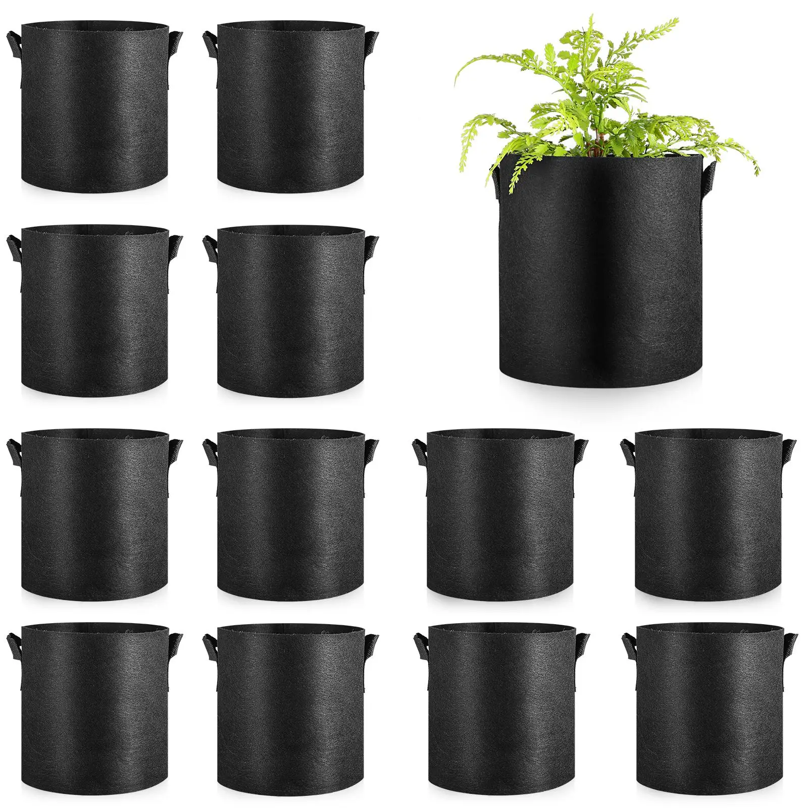 12 Pcs 3 Gallon Black Grow Bags Non woven Thickened Fabric Firm Bottom Foldable Storage Suitable Vegetables Tomatoes Potatoes
12 Pcs 3 Gallon Black Grow Bags Non woven Thickened Fabric Firm Bottom Foldable Storage Suitable Vegetables Tomatoes Potatoes