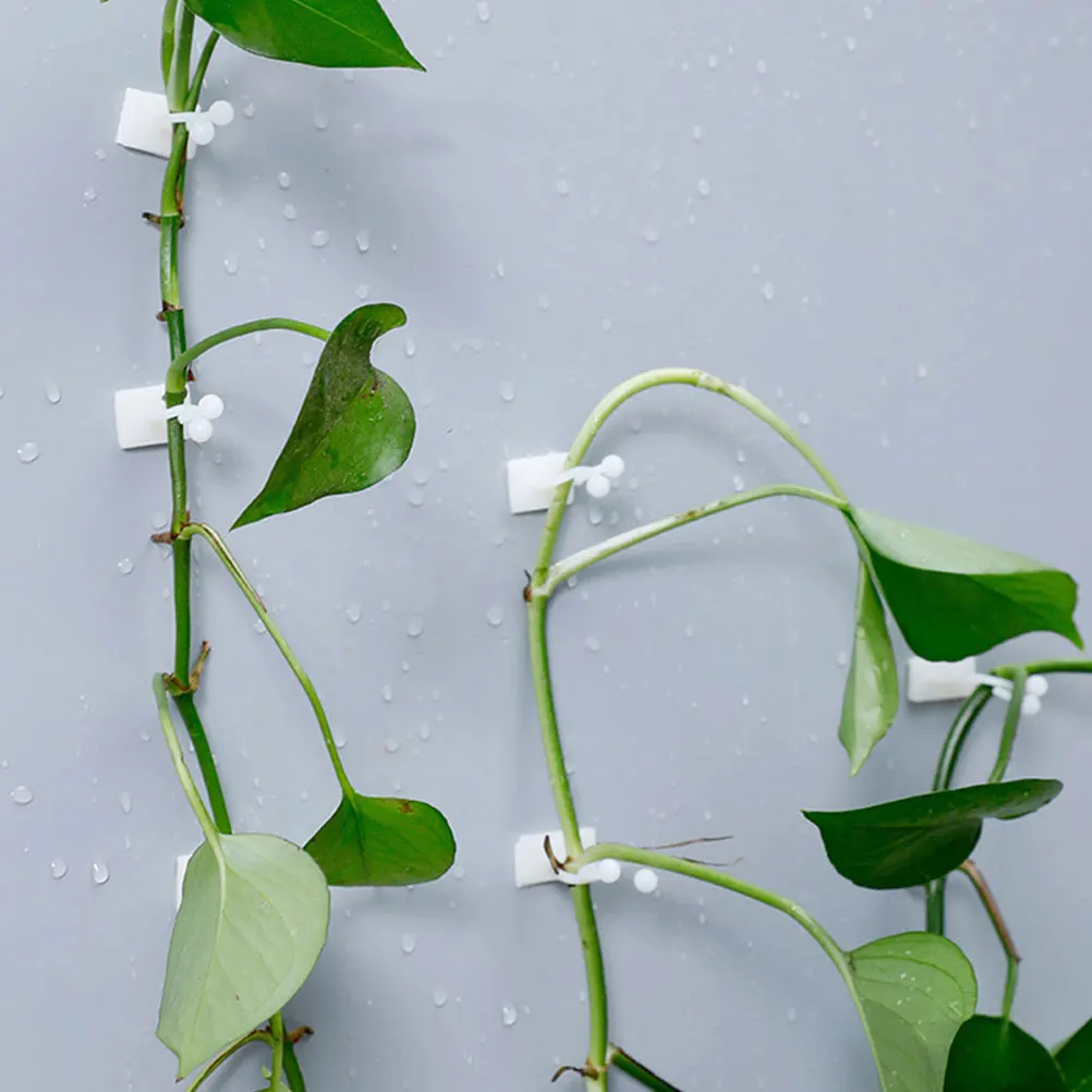 100 Pcs Plant Clips Vine Support Resin Durable High Viscosity Adhesive Wall Hooks Gardening Plants Holder
100 Pcs Plant Clips Vine Support Resin Durable High Viscosity Adhesive Wall Hooks Gardening Plants Holder