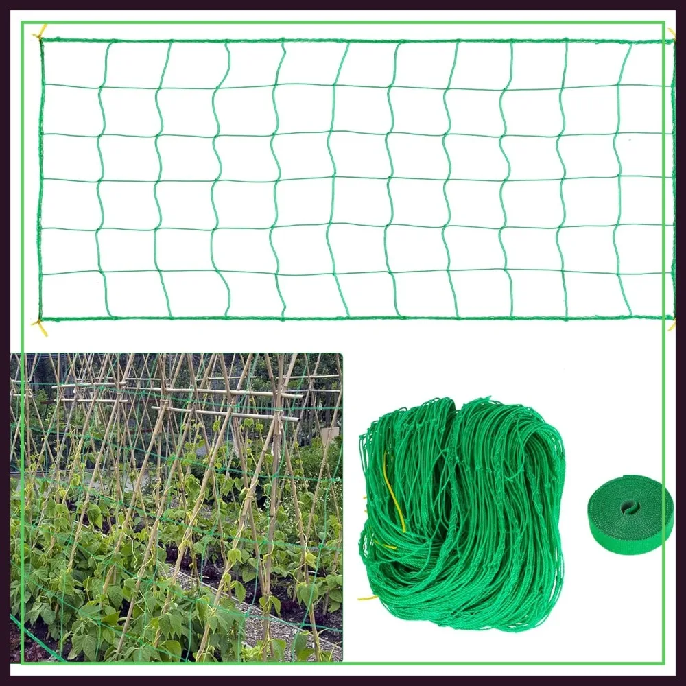 Heavy Duty Garden Trellis Netting 8.9x16.4Ft 27 Strands 4x4in Mesh for Climbing Plants, Tomato, Cucumber, Vine
Heavy Duty Garden Trellis Netting 8.9x16.4Ft 27 Strands 4x4in Mesh for Climbing Plants, Tomato, Cucumber, Vine