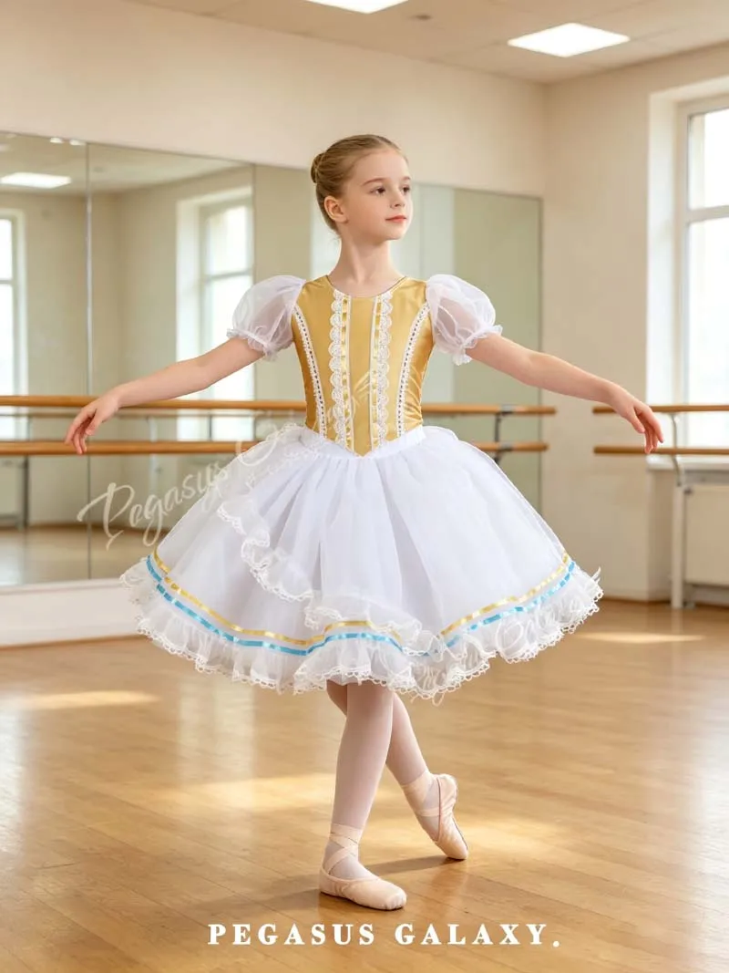 Elegant Ballet Swan Dance Skirt Children Short Sleeve Ballet TuTu Dress Girls High Quality Standard Ballet Dance Skirt
Elegant Ballet Swan Dance Skirt Children Short Sleeve Ballet TuTu Dress Girls High Quality Standard Ballet Dance Skirt