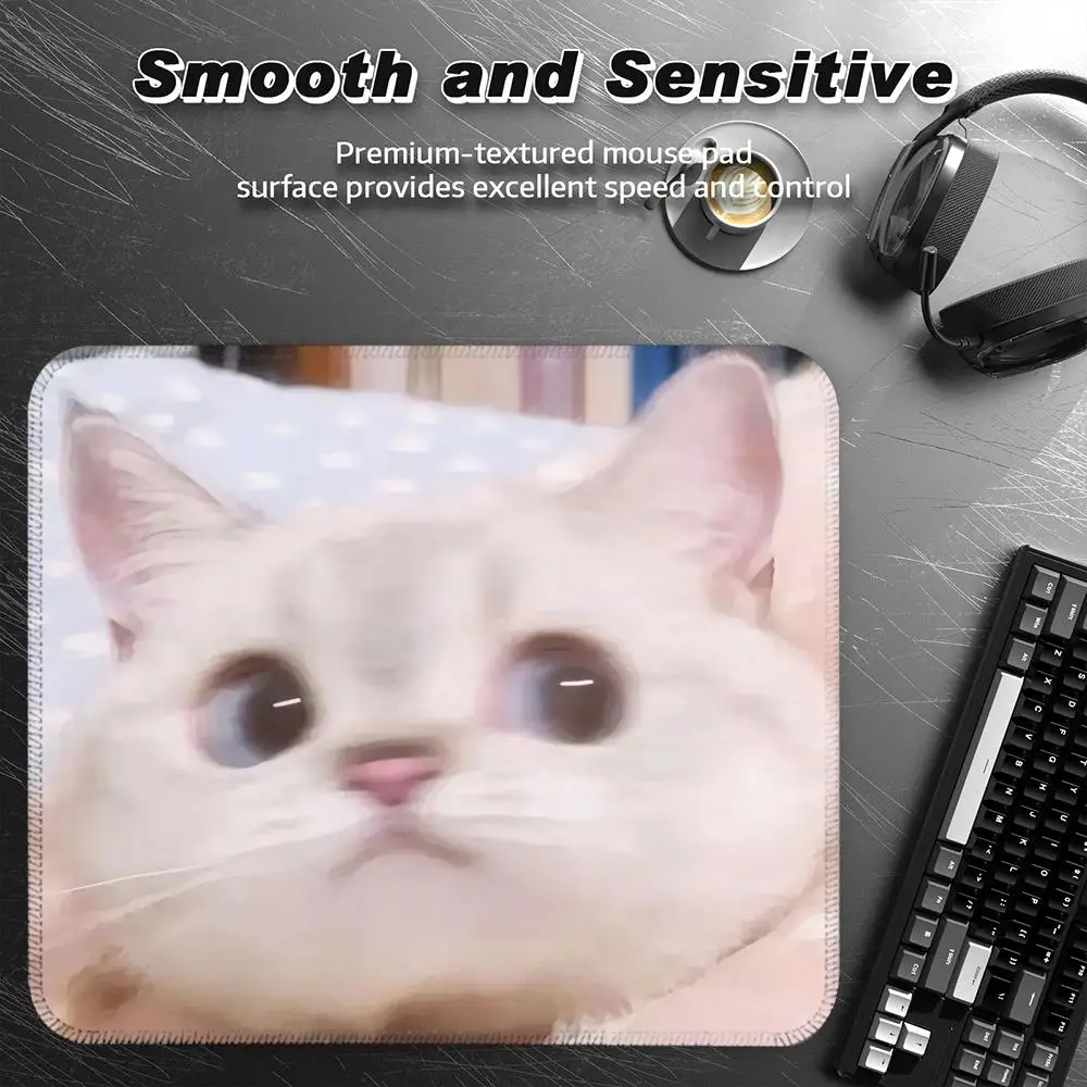 Забавный коврик для мыши с котами-мемами, маленький настольный коврик, клавиатура для настольного компьютера, беспроводная мышь для мальчика, подарок для игр, подставки
Забавный коврик для мыши с котами-мемами, маленький настольный коврик, клавиатура для настольного компьютера, беспроводная мышь для мальчика, подарок для игр, подставки