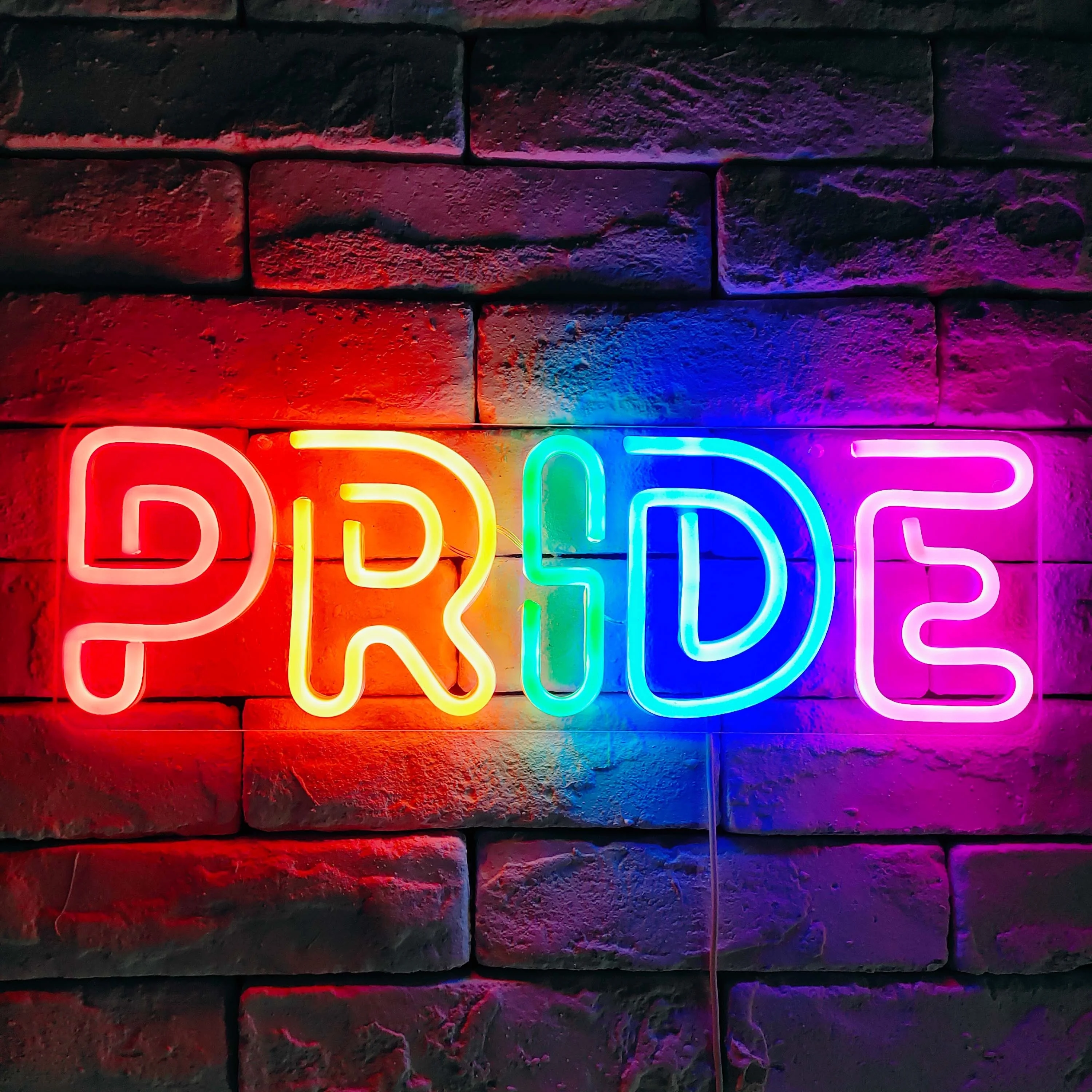 Pride Neon Sign LED Neon Light Sign for Wall Decor USB Powered for Bedroom School Library Decoration Birthday Gifts for Students
Pride Neon Sign LED Neon Light Sign for Wall Decor USB Powered for Bedroom School Library Decoration Birthday Gifts for Students