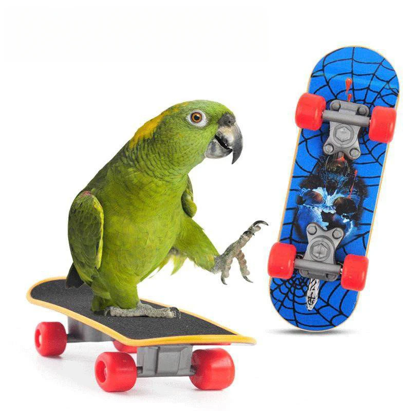 Colorful parrot skateboarding toys fun, chewing, relieving stress and eliminating boredom - smart interactive bird training toys
Colorful parrot skateboarding toys fun, chewing, relieving stress and eliminating boredom - smart interactive bird training toys