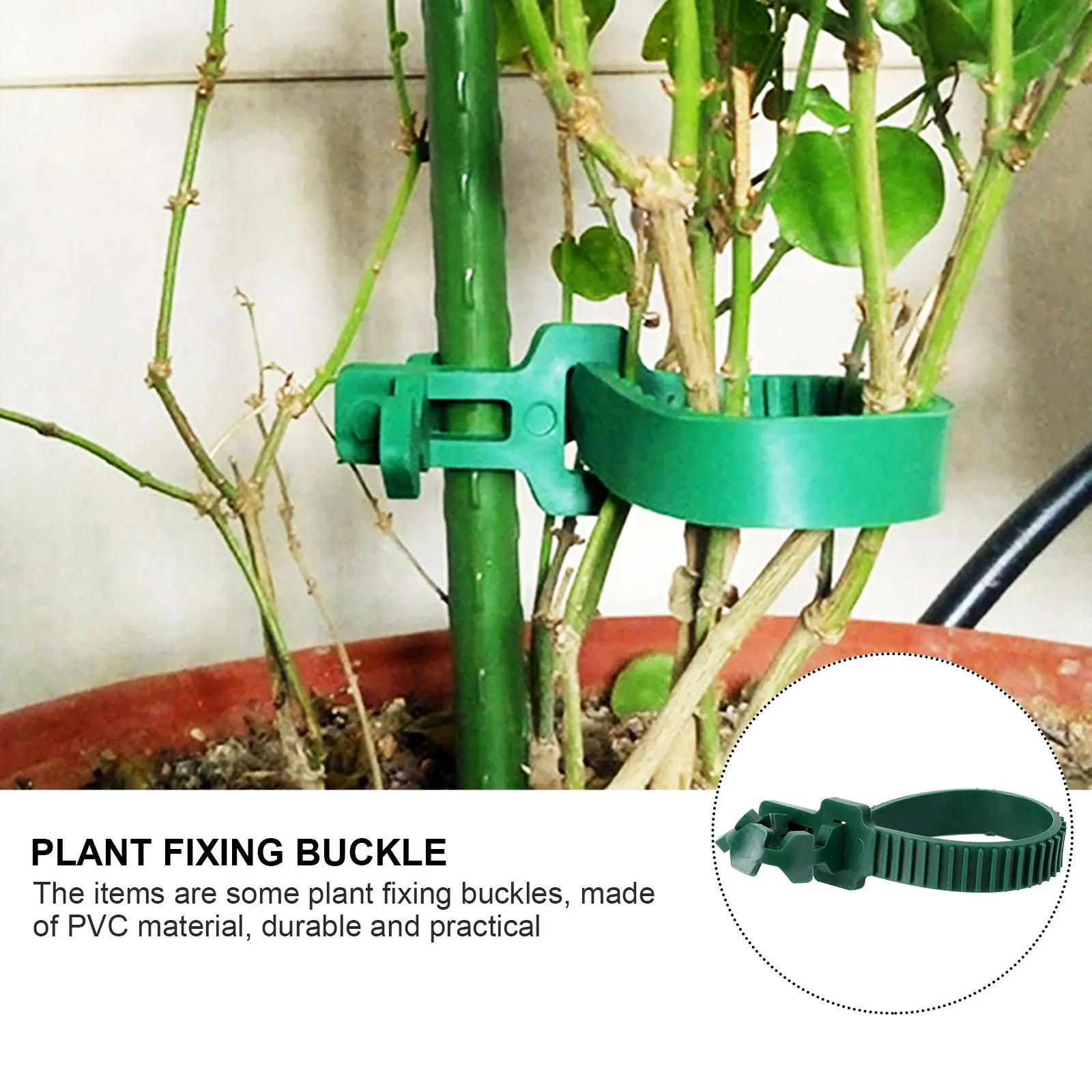 20Pcs Plant Plastic Fixing Buckle Vine Support Reusable Belt for Garden Yard Bonsai Durable PVC 25cm Long 1.3cm Wide 0.4cm Thick 
20Pcs Plant Plastic Fixing Buckle Vine Support Reusable Belt for Garden Yard Bonsai Durable PVC 25cm Long 1.3cm Wide 0.4cm Thick