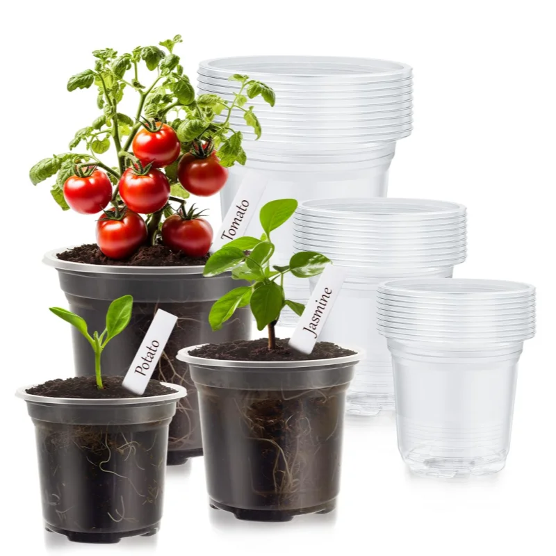 40Pcs Transparent Thickened Flower Pots Seedling Cups Nursery Planters for Gardening Transplantation
40Pcs Transparent Thickened Flower Pots Seedling Cups Nursery Planters for Gardening Transplantation